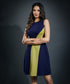 Navy & Green Side Paneled Ponte Dress