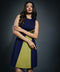 Navy & Green Side Paneled Ponte Dress