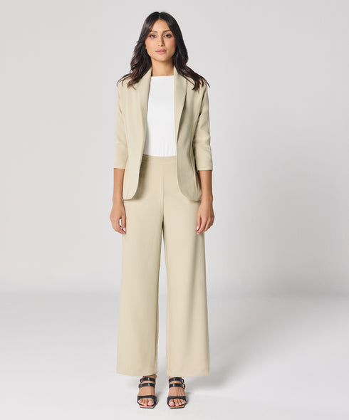 Light Beige Flared Formal Trouser