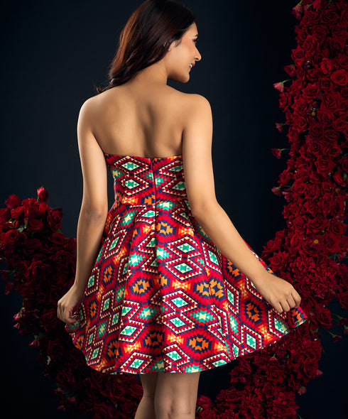 Scuba Printed Skater Tube Dress