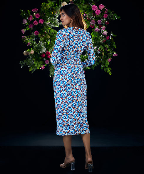 Long Sleeve Plunge Vneck Chiffon Dress