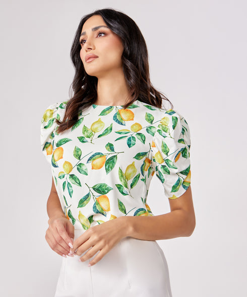 Short Sleeve Chiffon Printed Top