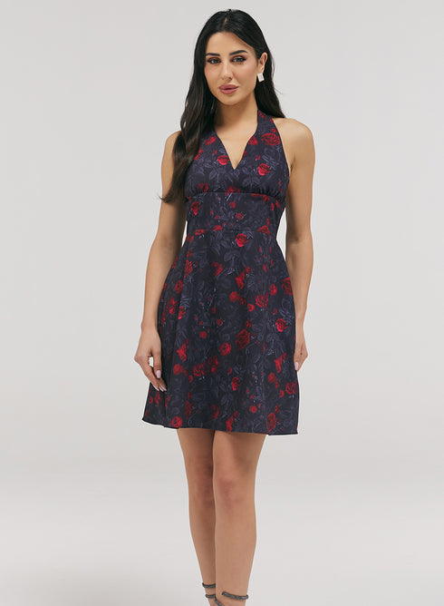 Halter With A Tie Neck Printed Dress