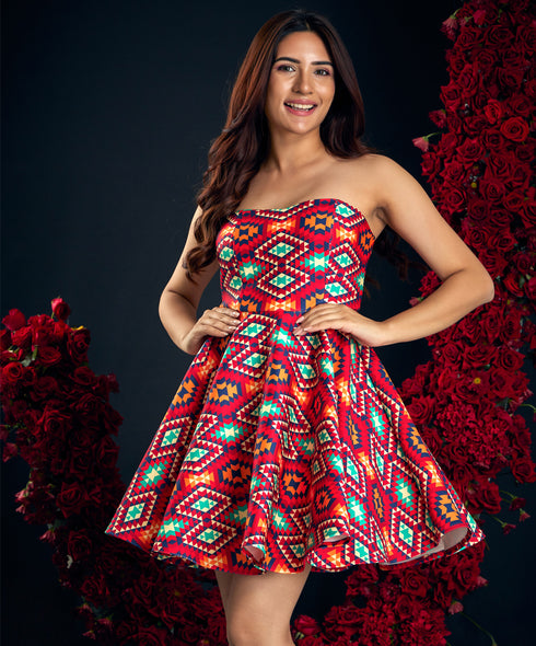 Scuba Printed Skater Tube Dress