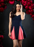Sweetheart Neck Paneled Mini Dress