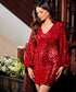Vneck Sequin Bodycon Dress