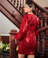 Vneck Sequin Bodycon Dress