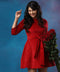 Mini Skater Velvet Red Dress