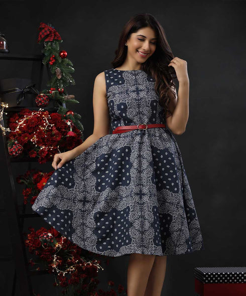 Blue And White Printed Skater Dress