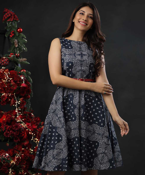 Blue And White Printed Skater Dress